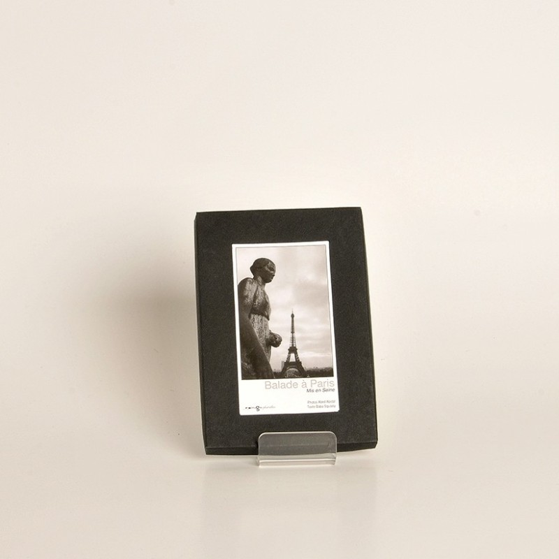 A Stroll Around Paris 1 - Making a Seine