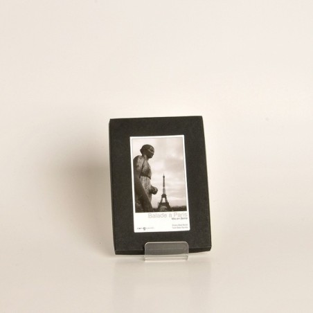 A Stroll Around Paris 1 - Making a Seine