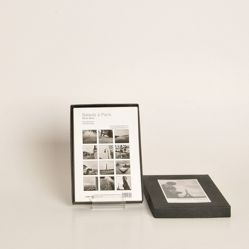 A Stroll Around Paris 1 - Making a Seine