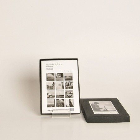 A Stroll Around Paris 1 - Making a Seine