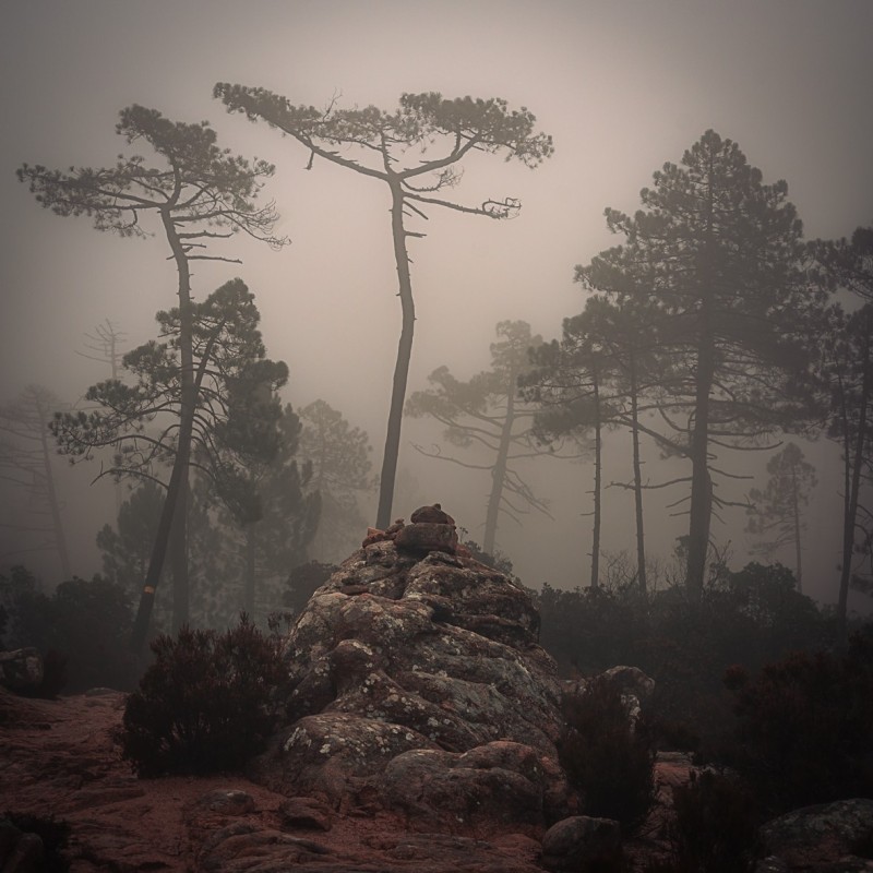 Déperdition