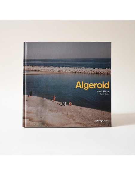 Algeroid