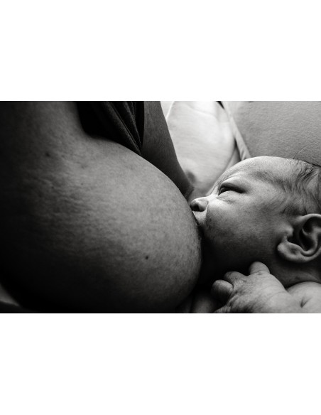 The Origins The Origins