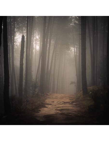 Déperdition Déperdition