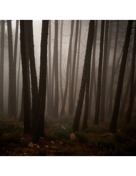 Déperdition Déperdition