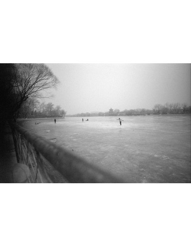 Certains cherchent des soleils