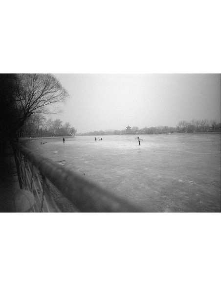 Certains cherchent des soleils Certains cherchent des soleils