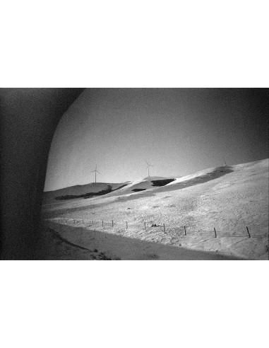 Certains cherchent des soleils