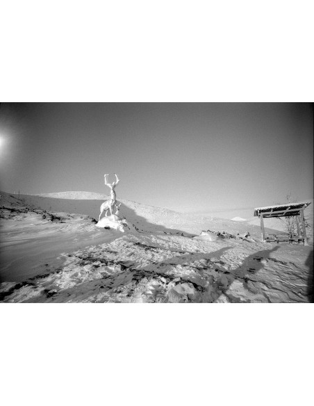 Certains cherchent des soleils Certains cherchent des soleils