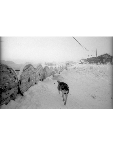 Certains cherchent des soleils