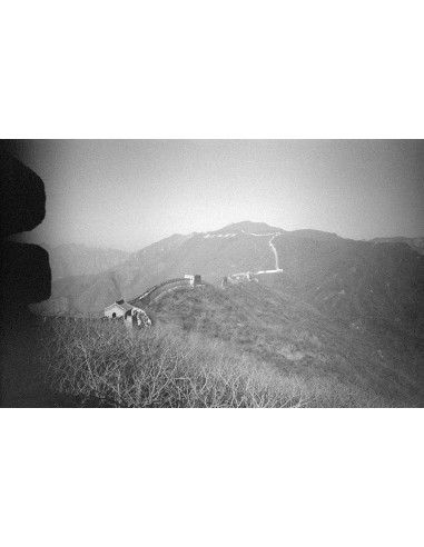 Certains cherchent des soleils