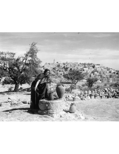 KARIMEH ABBOUD - Lady photographer