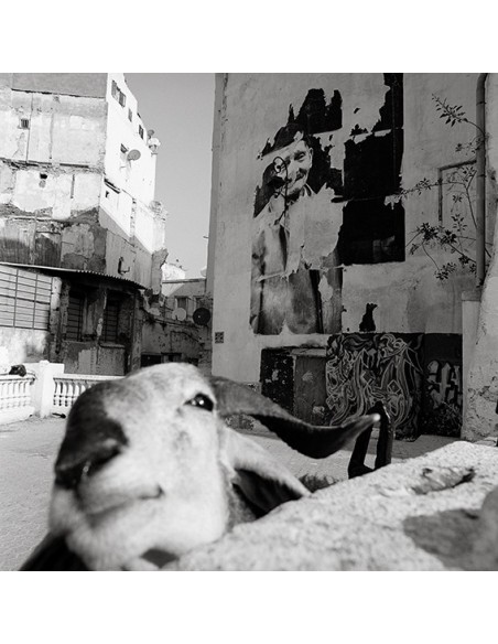 CASBAH