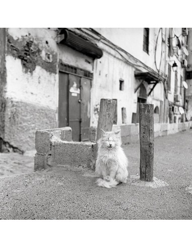 CASBAH