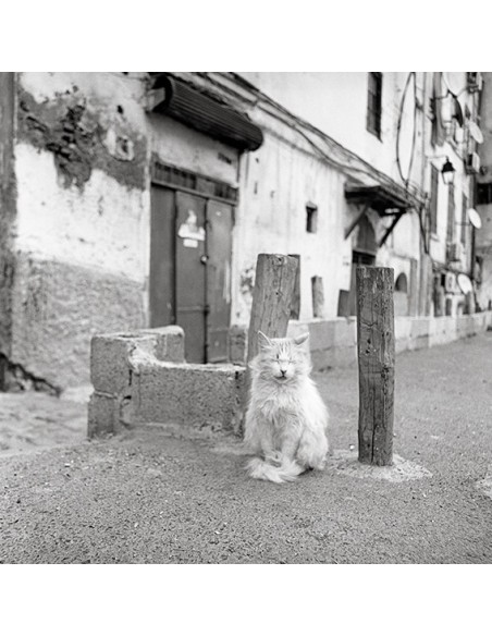 CASBAH