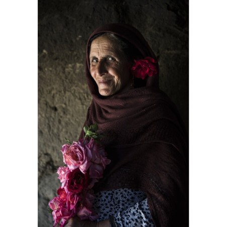 Des Roses sous les épines