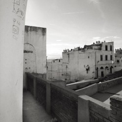 Magnétique Alger 2