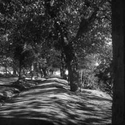 Tlemcen ou les lieux de... 2