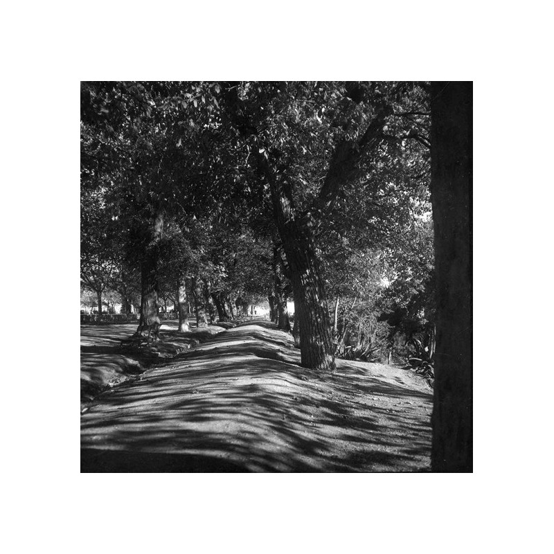 Tlemcen ou les lieux de l'écriture