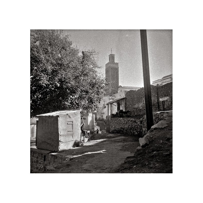 Tlemcen ou les lieux de l'écriture