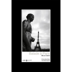 Balade à Paris I - Mis en seine