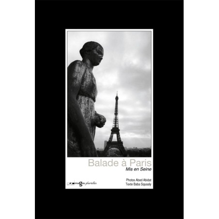 A Stroll Around Paris 1 - Making a Seine