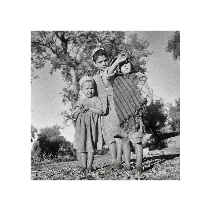 Tlemcen ou les lieux de l'écriture