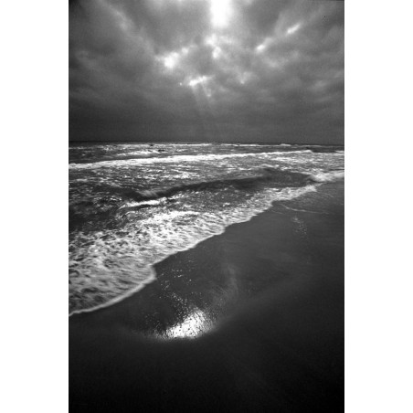 Water and Land - Camargue