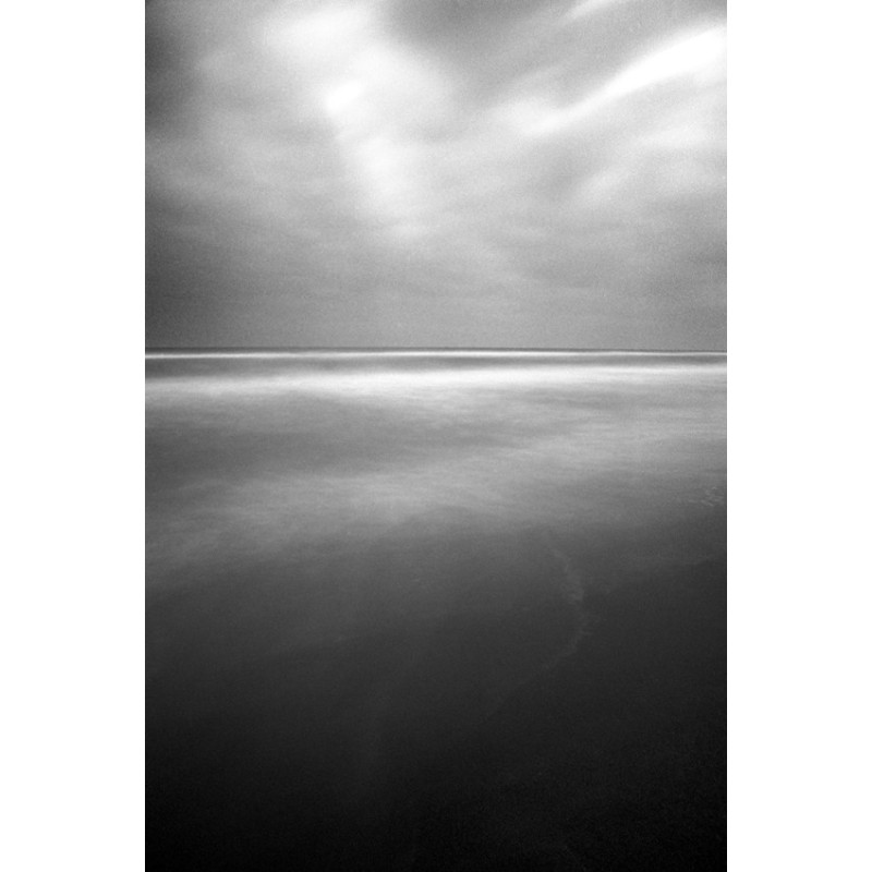 Water and Land - Camargue