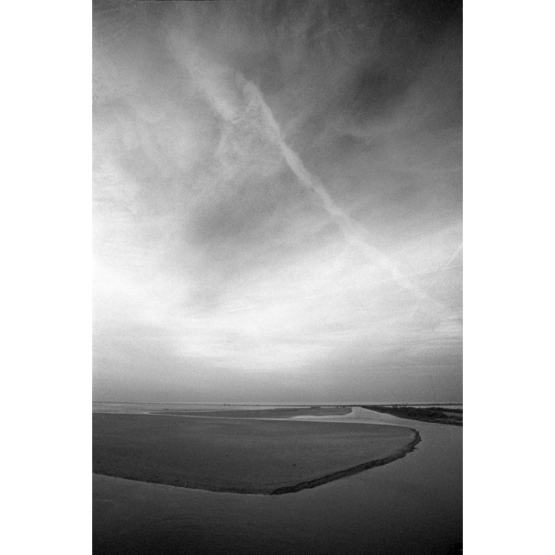 Water and Land - Camargue