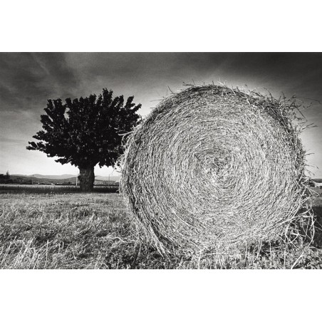 Luberon - Champ photographique