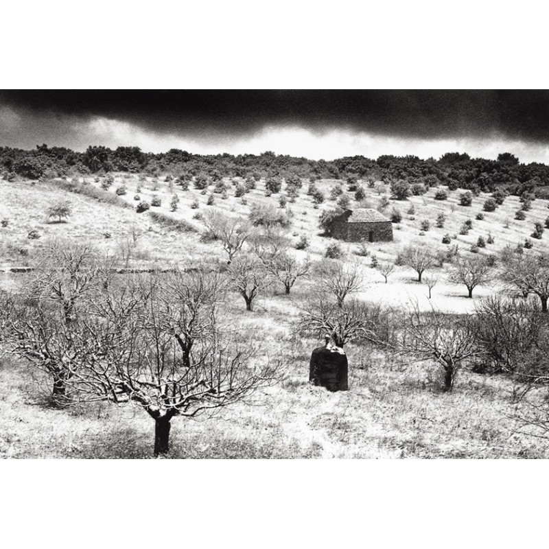 Luberon - Photographic fields