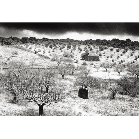 Luberon - Champ photographique