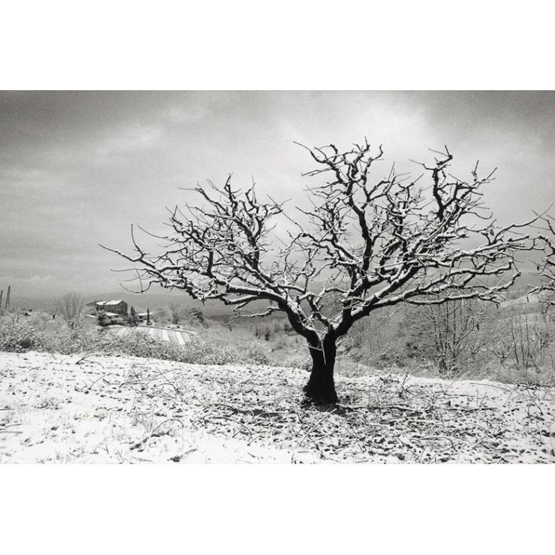 Luberon - Photographic fields
