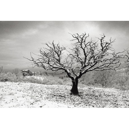Luberon - Champ photographique