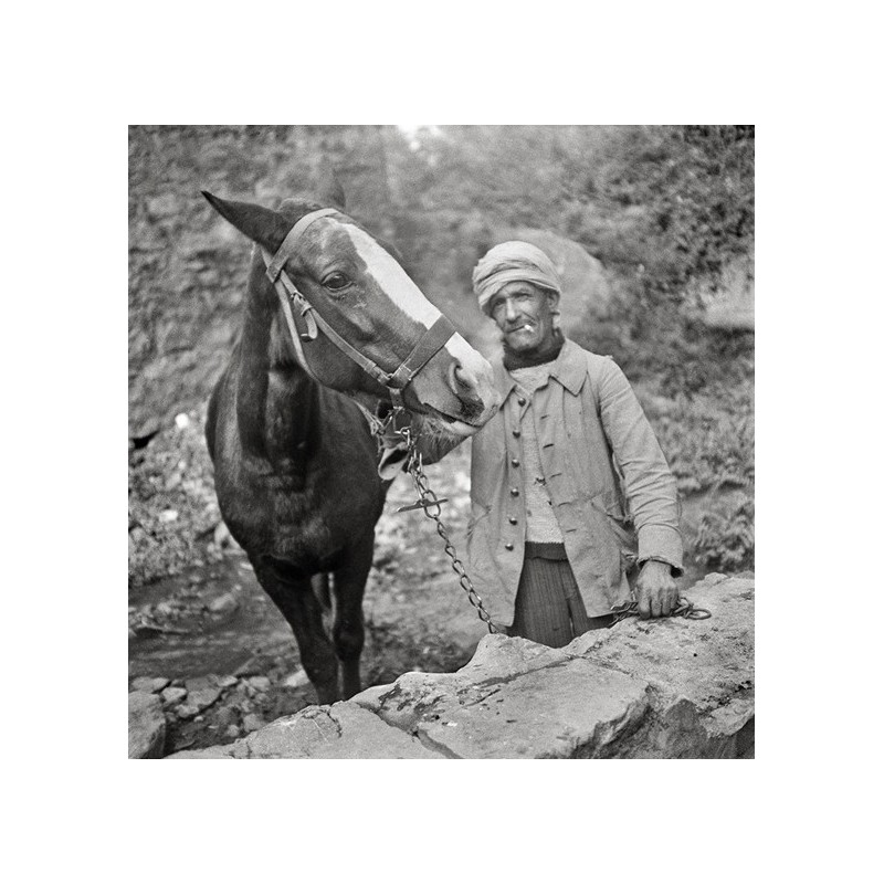 Tlemcen ou les lieux de l'écriture