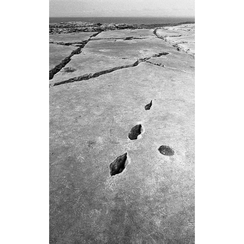 Pays Sages - Paysages