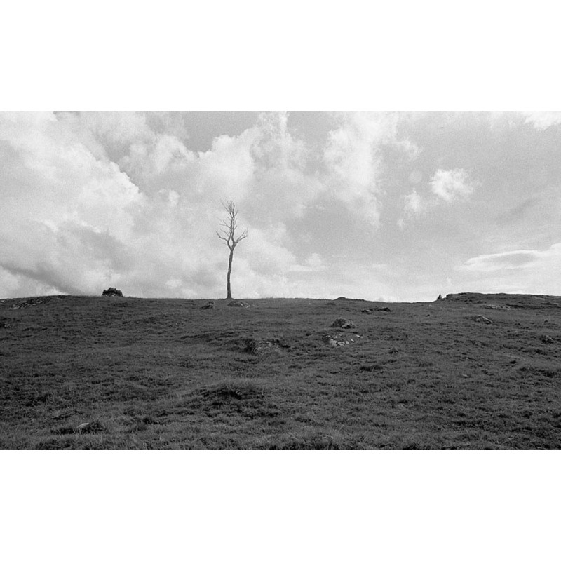 Pays Sages - Paysages