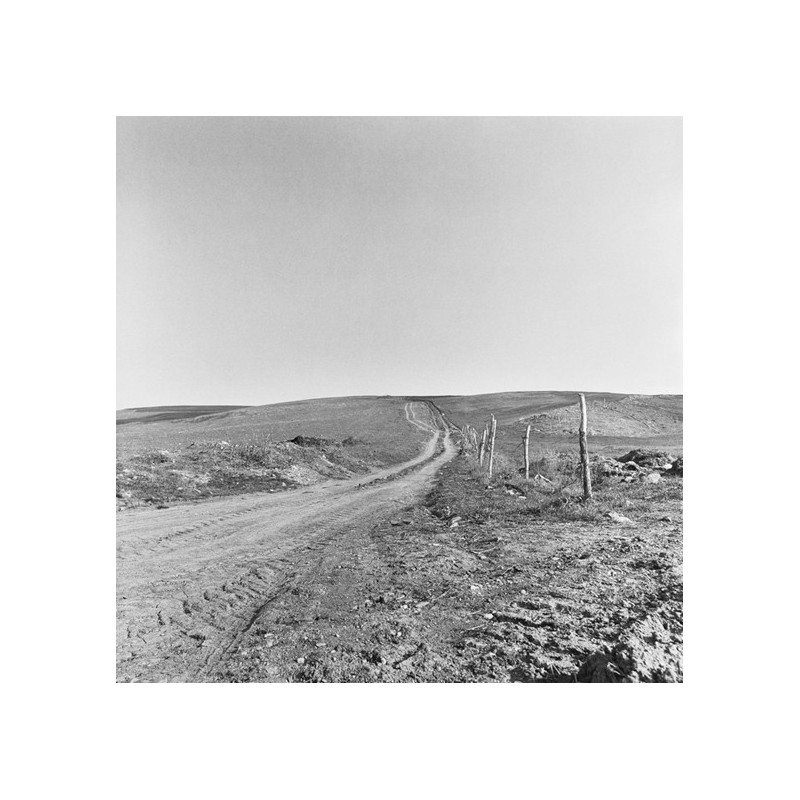 The 8th of May, 1945 - Tragedy in North Africa