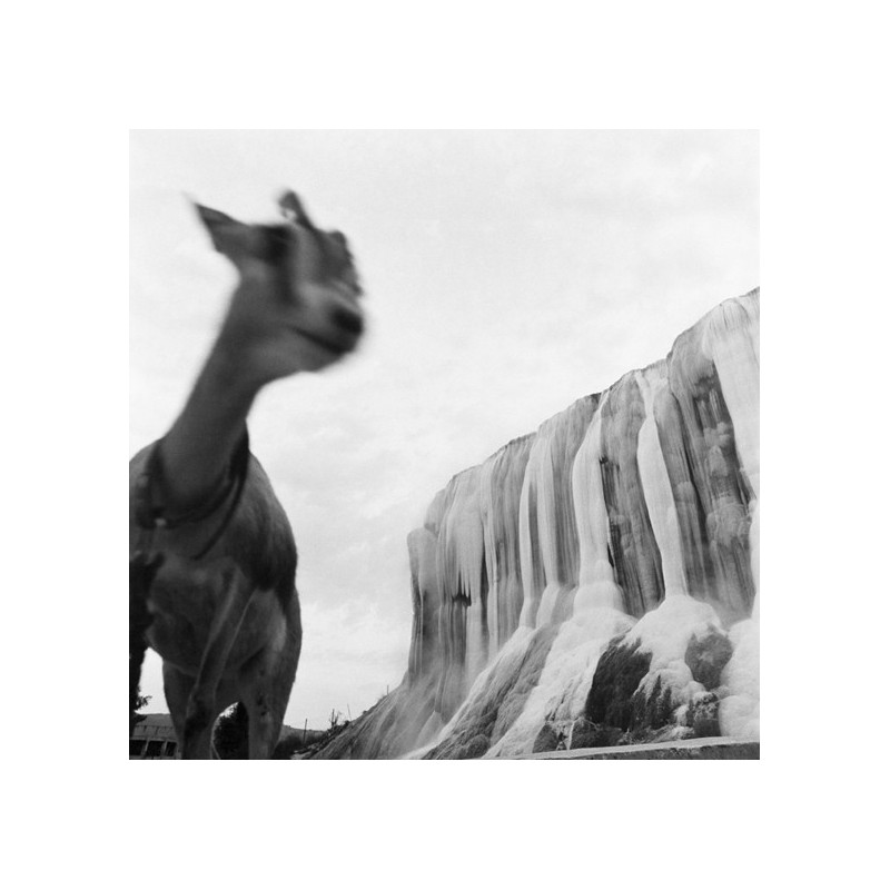 The 8th of May, 1945 - Tragedy in North Africa