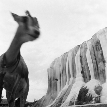 The 8th of May, 1945 - Tragedy in North Africa The 8th of May, 1945 - Tragedy in North Africa