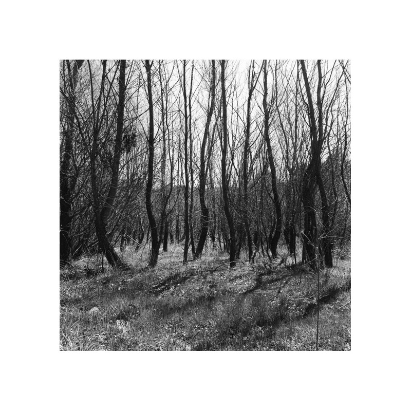Les sentiers sestians - La Sainte Victoire