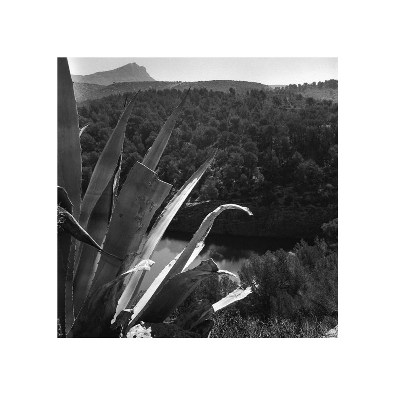 Les sentiers sestians - La Sainte Victoire