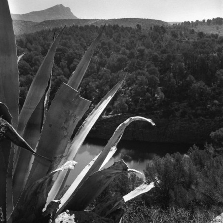 Les sentiers sestians - La Sainte Victoire Les sentiers sestians - La Sainte Victoire