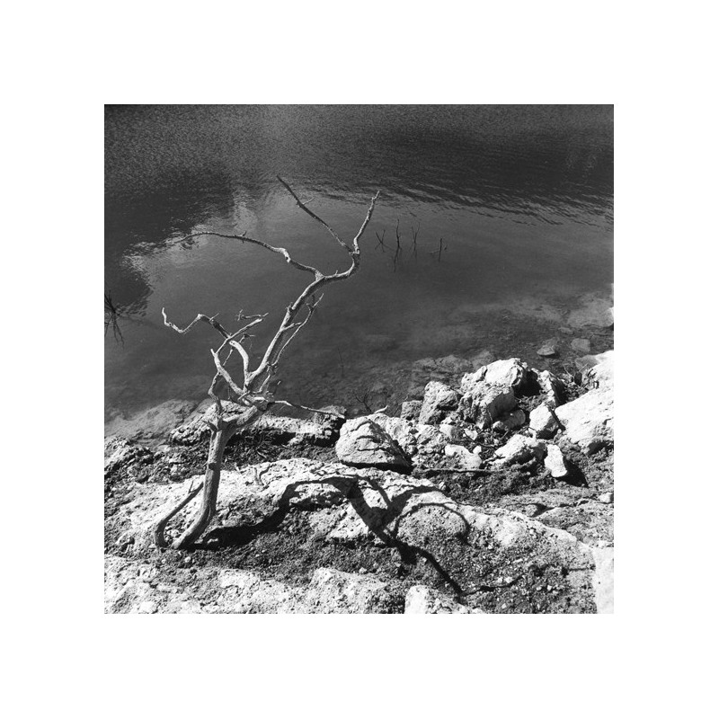 Les sentiers sestians - La Sainte Victoire