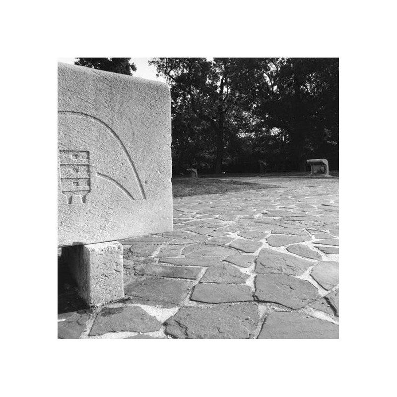 The Radiant City - Le Corbusier