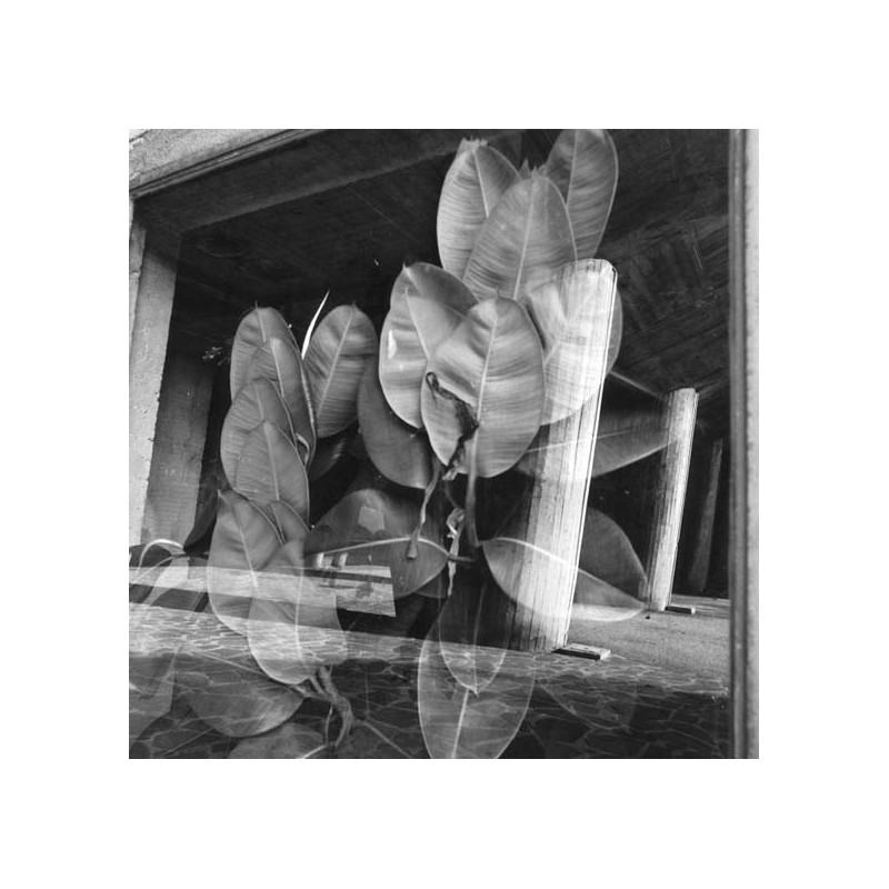 The Radiant City - Le Corbusier