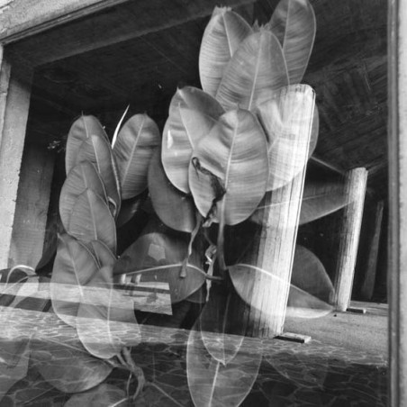 The Radiant City - Le Corbusier The Radiant City - Le Corbusier