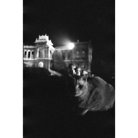 Night Views - Marseille By Night