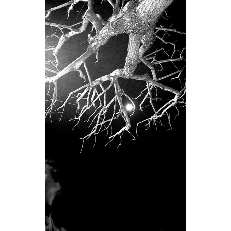 Night Views - Marseille By Night